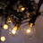 String lights with glowing bulbs hanging from greenery.