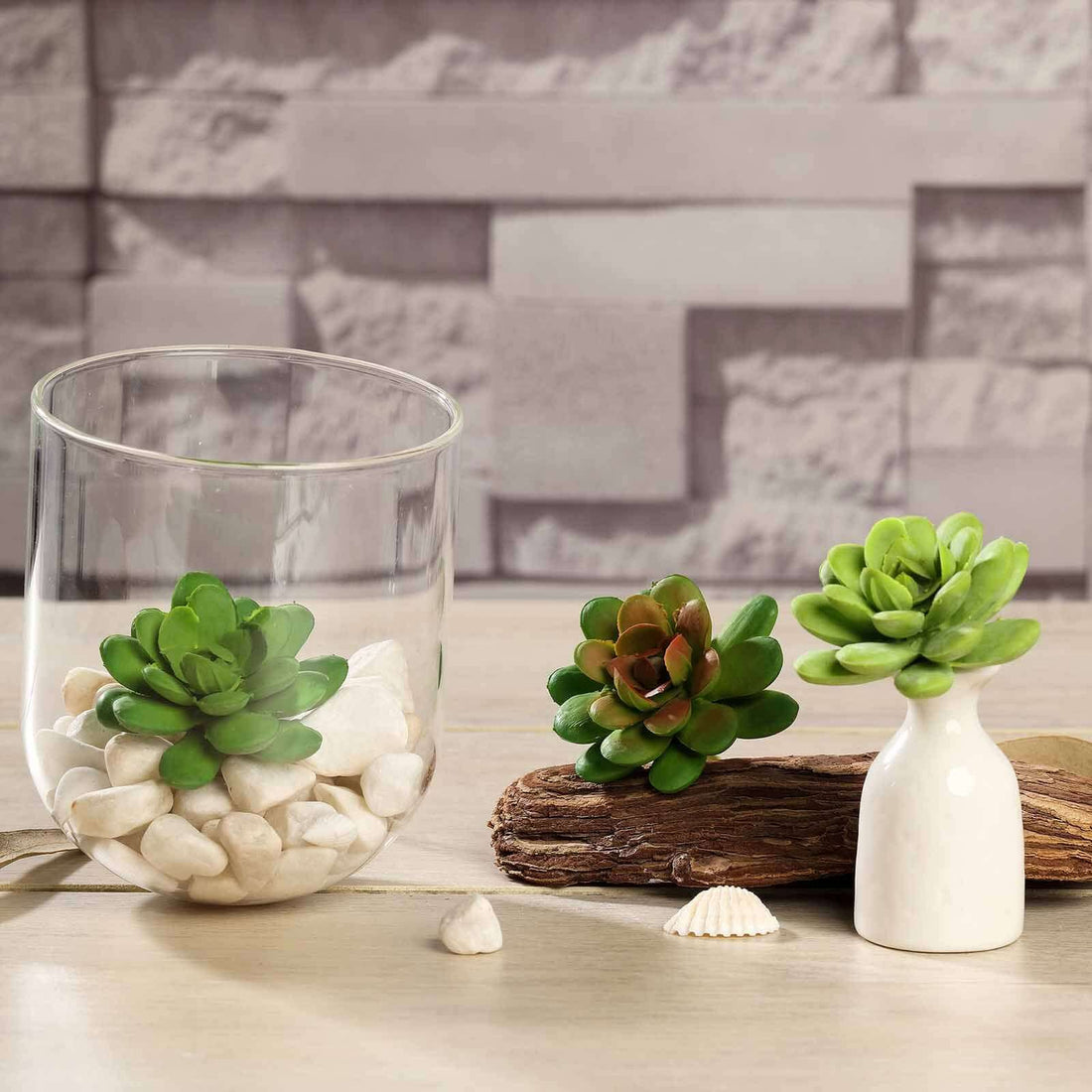 Succulent plants in decorative glass and ceramic pots with pebbles.