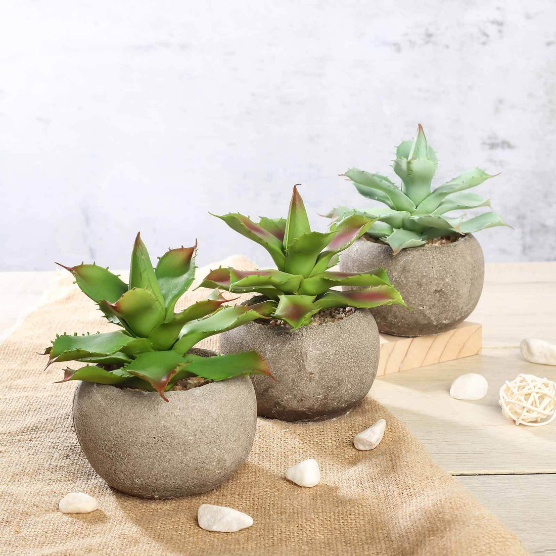 Three decorative potted succulent plants in textured stone pots.