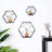Geometric wall shelves with vases and flowers in a modern decor setting.