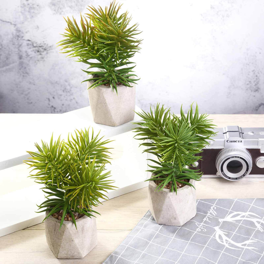 Artificial succulent plants in geometric pots on a table