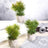 Artificial succulent plants in geometric pots on a table