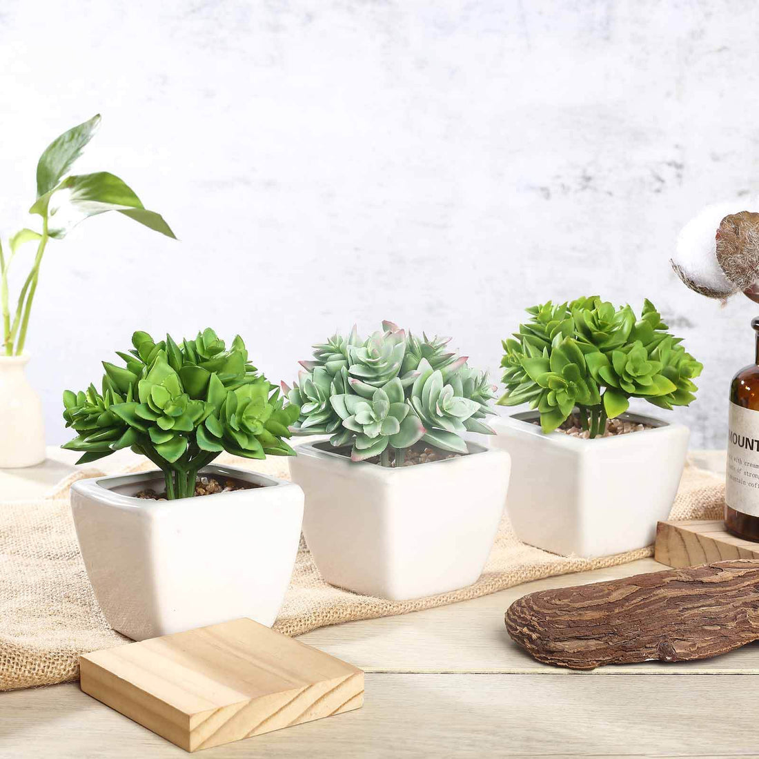 artificial succulents in a pot 3-Pack Echeveria Artificial Succulents In Ceramic Pot 4" Green
