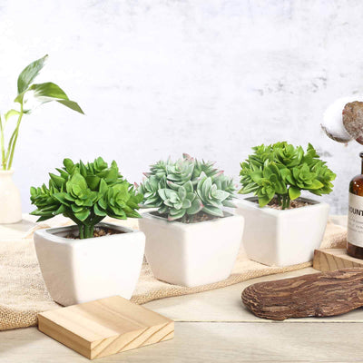 3-Pack Echeveria Artificial Succulents in Ceramic Pot 4" Green - Realistic Maintenance-Free Faux Plants for Bathroom Coffee Table Shelves & Desk