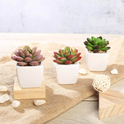 3-Pack Echeveria Elegans Artificial Succulents in Ceramic Pot 3" - Realistic Maintenance-Free Faux Plants for Bathroom Coffee Table Shelves & Desk