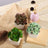 Succulent plants in decorative pots on a wooden table with natural decor elements.