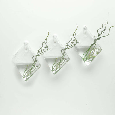 3-Pack Glass Wall Vase Rhombus Design Hanging Indoor Planters - Stylish Wall Mounted Terrariums for Home Decor