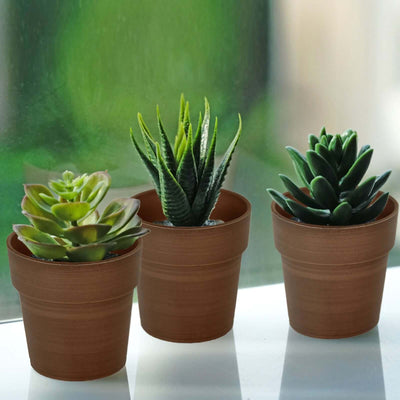 3-Pack Plastic Flower Plant Pots 3" Small Rustic Brown - Indoor Decorative Planters
