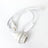 White light socket with cable and switch