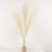 Pampas grass arrangement in a vase, elegant home decor