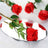 Oval mirror reflecting red roses on a white surface.