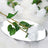Oval mirror with white roses and green leaves reflection.