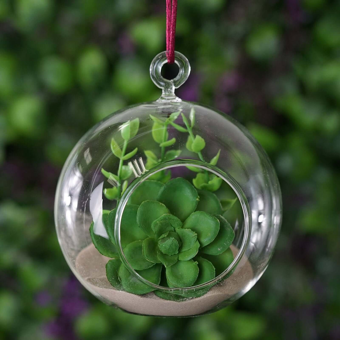 Hanging glass terrarium with a green succulent plant inside.