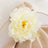 White artificial peony flower on a beige napkin at a dinner table.