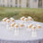 Clear plastic cupcake stands with frosted cupcakes on a table.