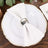 Elegant white plate with a folded napkin and silver napkin ring.