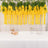 Yellow flower garland decoration hanging above a table for events or celebrations.