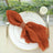 Elegant table setting with rust-colored napkin and golden cutlery.