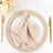 Elegant beige napkin with gold holder on a decorative plate, set for a formal dining experience.