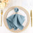 Elegant teal napkin with decorative holder on a stylish dinner plate.