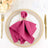 Elegant magenta napkin with decorative ring on a decorative plate setting.