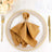 Elegant brown napkin elegantly folded on a decorative dinner plate with gold trim.
