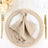 Elegant beige napkin with decorative ring on a stylish dinner plate setting.