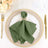 Elegant green napkin with butterfly holder on a decorative dinner plate.