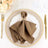 Elegant brown napkin elegantly folded on a decorative plate with gold accents.