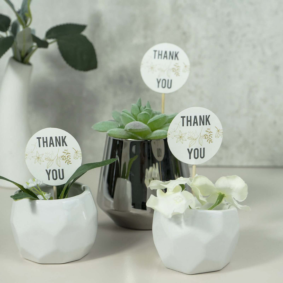 Thank you plant decorations in modern pots on a neutral background.