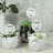 Thank you plant decorations in modern pots on a neutral background.