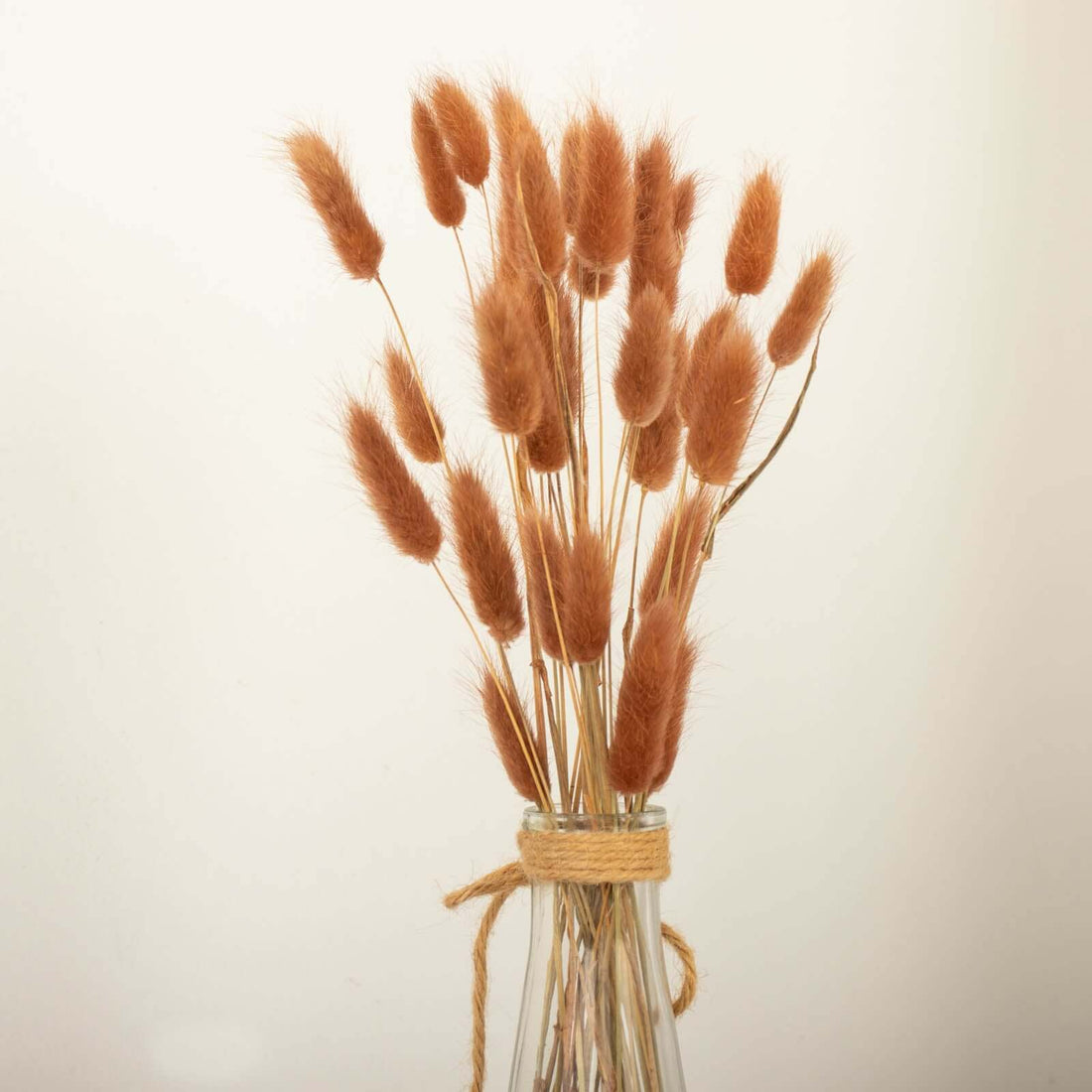 Dried brown floral arrangement in a glass vase