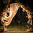 Wedding arch adorned with lights and floral decorations.