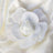 White flower decoration on soft fabric backdrop. #whtbkgd