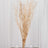 Dried decorative branches in a clear vase on a table