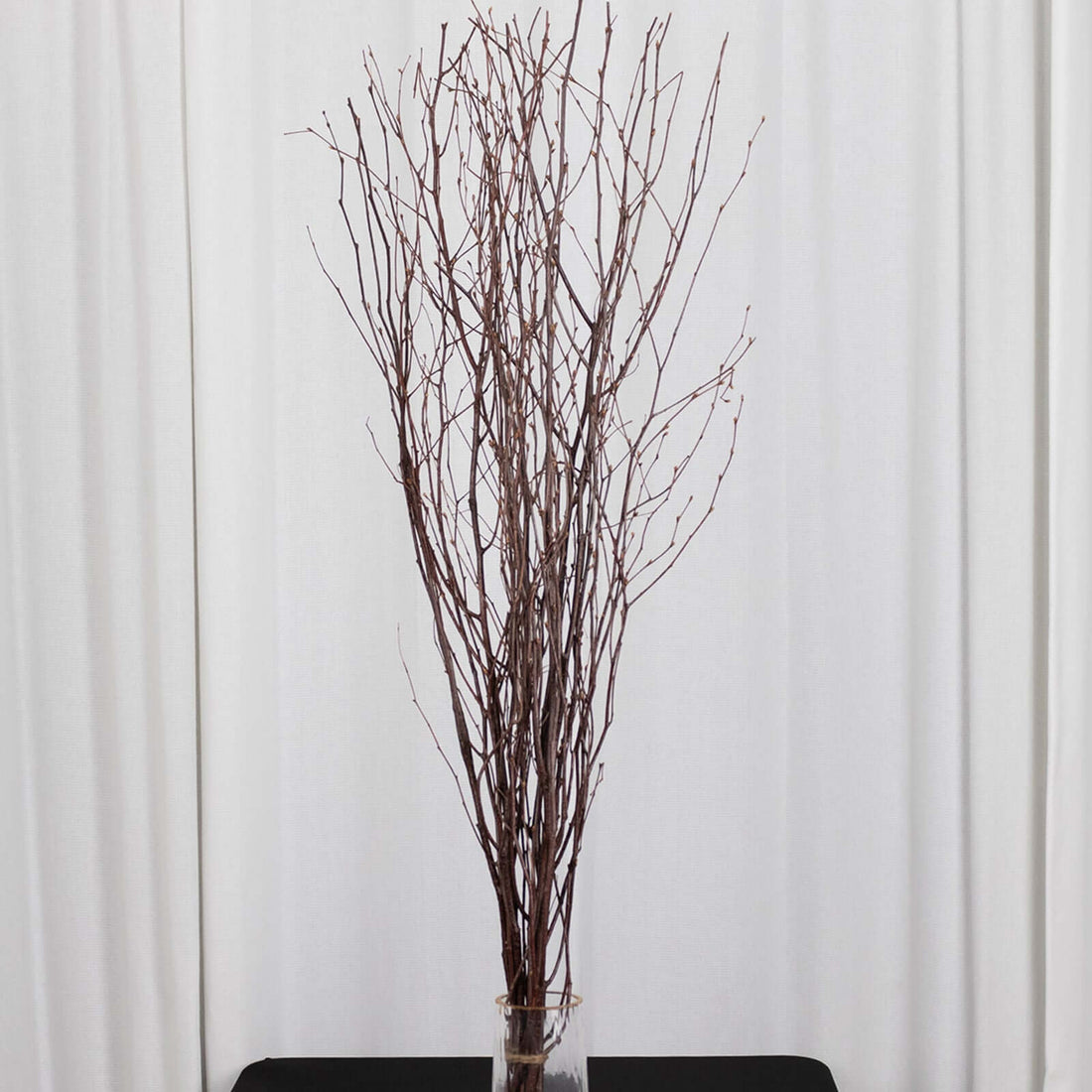 Dried decorative branches in a glass vase for home decor