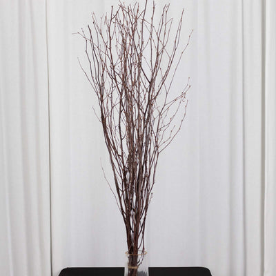 6-Pack Birch Tree Branches 46" Natural - Rustic Dried Willow Twigs Sticks