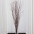 Dried decorative branches in a glass vase for home decor