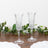 Elegant crystal champagne flutes with intricate designs on a wooden table.