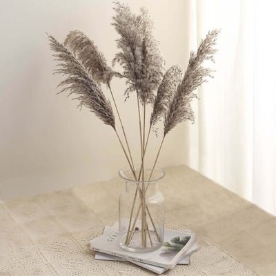 6 Stems Natural Dried Pampas Grass Decor 32" Natural Tint - Fluffy Plant Sprays