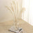 Dried pampas grass in a glass vase on a stack of magazines.