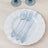 Blue plastic cutlery set on a white plate