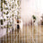 Clear bead curtain hanging in a modern interior setting.