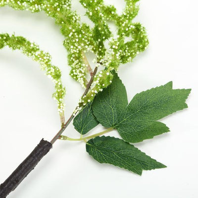 Green decorative floral branch with leaves on a white background