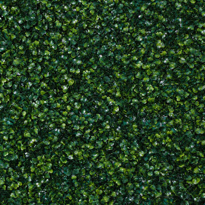 Dense green artificial hedge wall with glossy leaves background