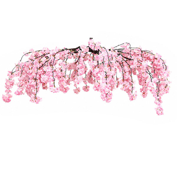 Pink cherry blossom branch on white background#whtbkgd