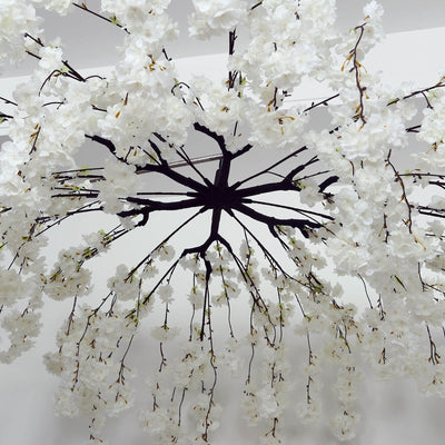 White cherry blossom tree branches on a light gray background