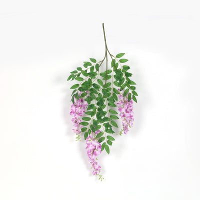 Purple wisteria flower branch with green leaves on a white background