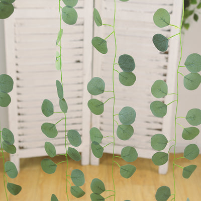 Green hanging eucalyptus vines against a white background.