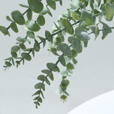 Artificial eucalyptus greenery branch on a plain background.